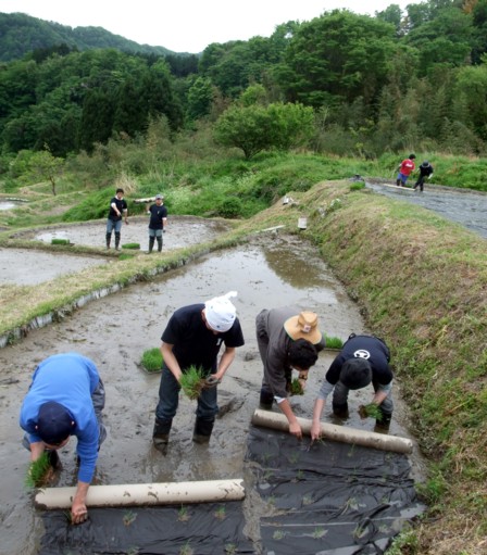 09田植え体験会3
