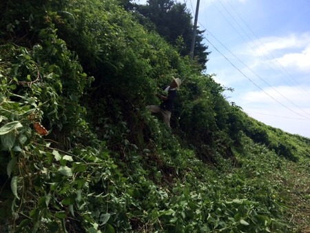 松尾棚田草刈り3