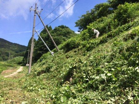松尾棚田草刈り4