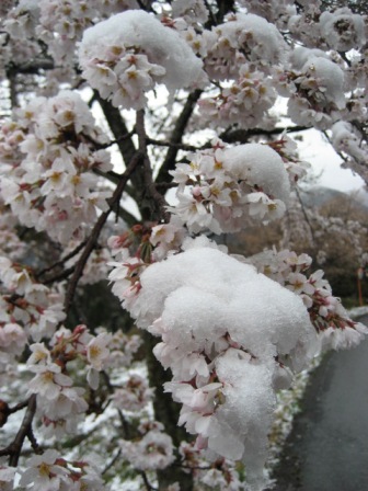 降雪3