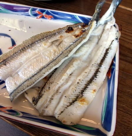 カネマス9
