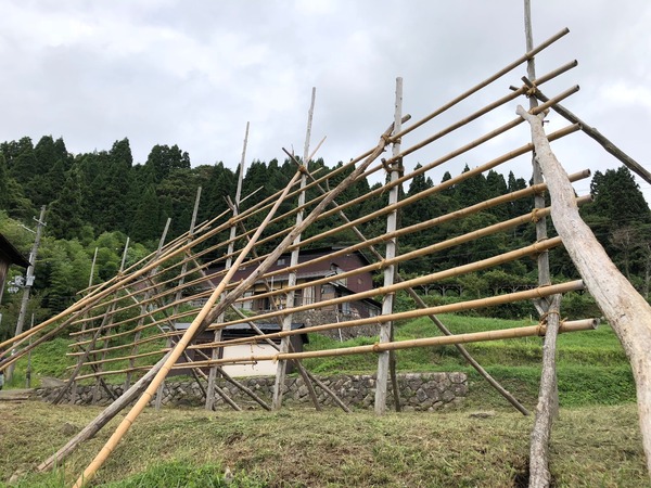 稲木組み2