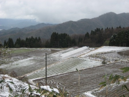 降雪1