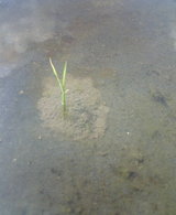 ľ��22����