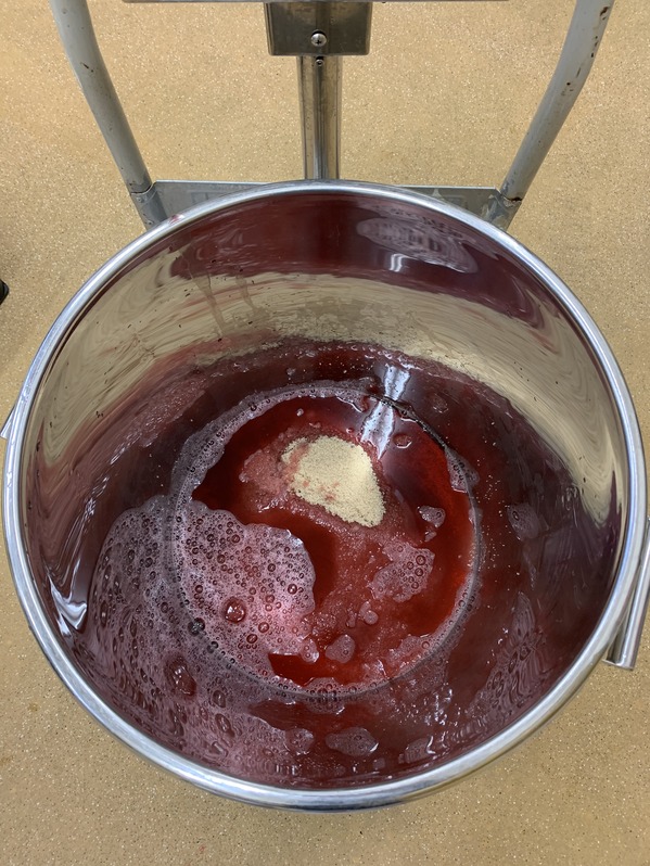 CE154419-9E6B-4EE2-98AD-2C7C8A7740FF