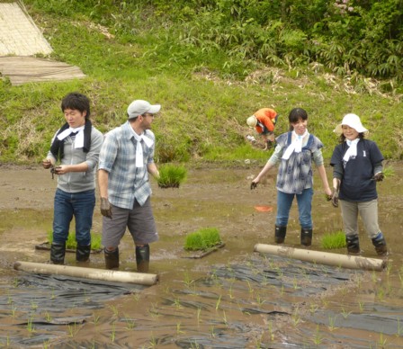 2010田植え体験会11