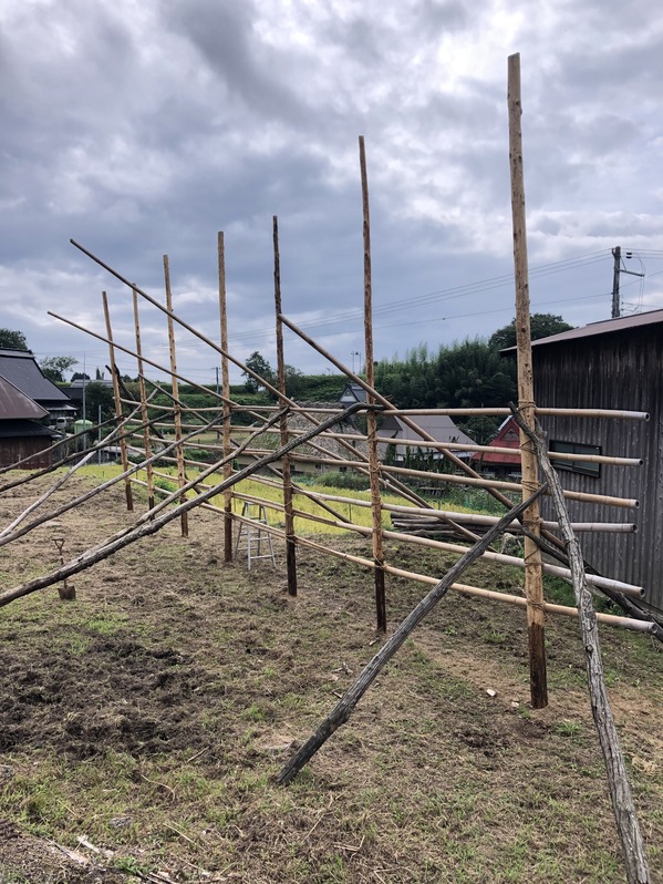 A42B0F74-5A54-4D7A-847A-1153F75BDCAC