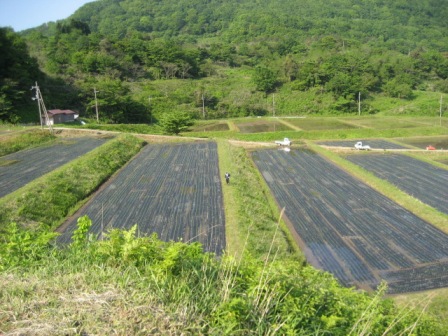 松尾棚田