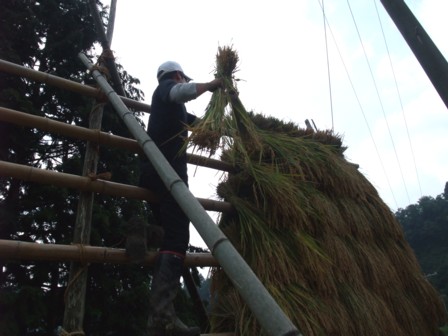������ޤ�Ȱ𴢤�5