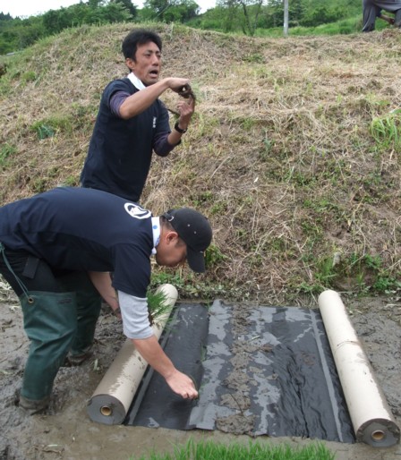 09田植え体験会7