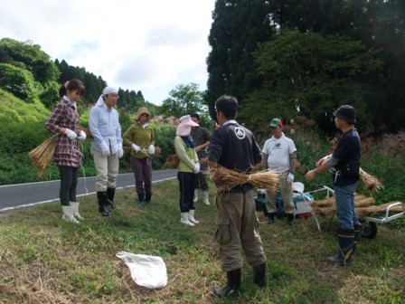 稲刈り体験会