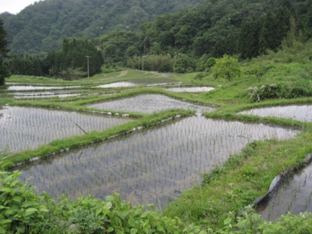 �Ŀ����壱