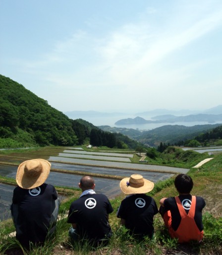 ブラウンライス様田植え