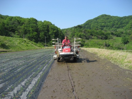 マルチ田植機1