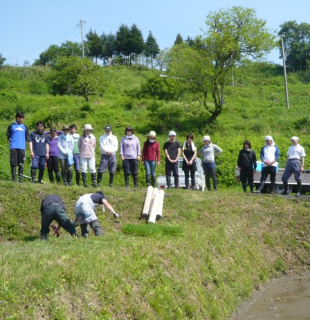 2010田植え体験会