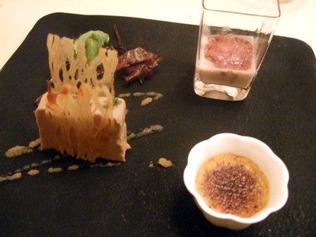HANZOYA4