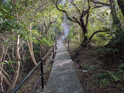 中の島_98