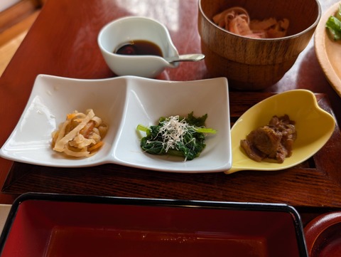 だいこんの花_188