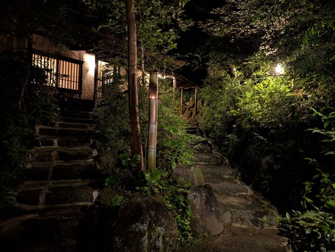 雅叙苑_204
