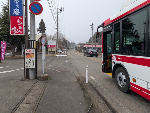 だいこんの花_3