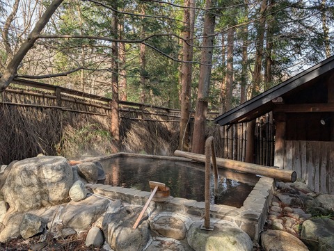 だいこんの花_44