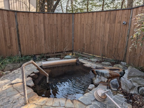 だいこんの花_56