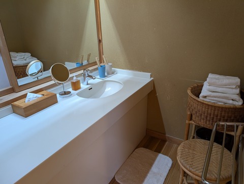 だいこんの花_100