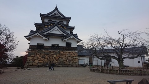やす井_0452