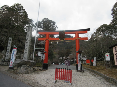 びわ湖花街道_2139