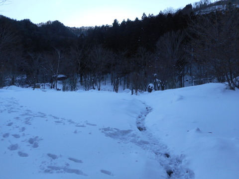 別邸仙寿庵_2262