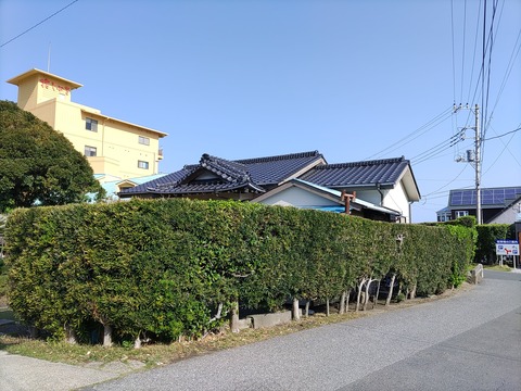 花しぶき_157