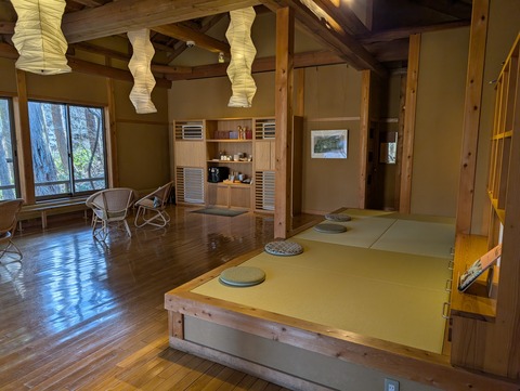 だいこんの花_17