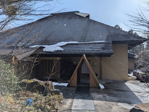 だいこんの花_10