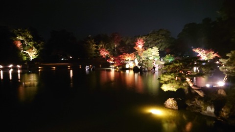 やす井_0518