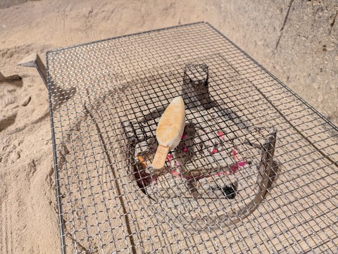 だいこんの花_117