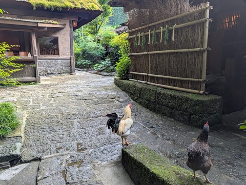 雅叙苑_131