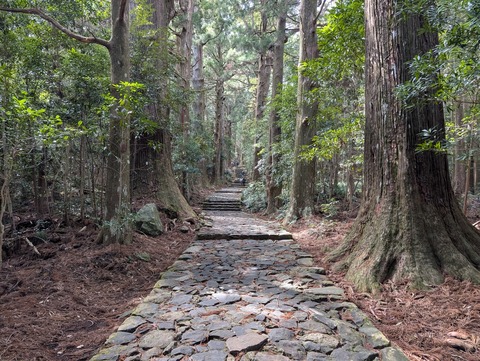 中の島_12