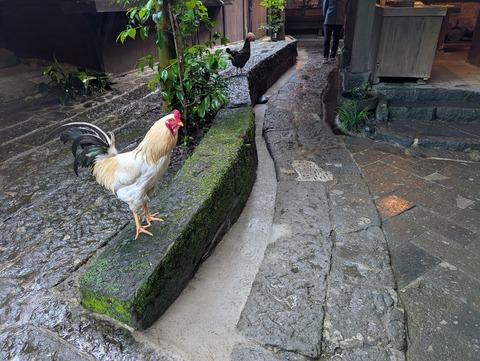 雅叙苑_210