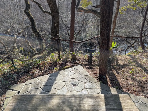 だいこんの花_68