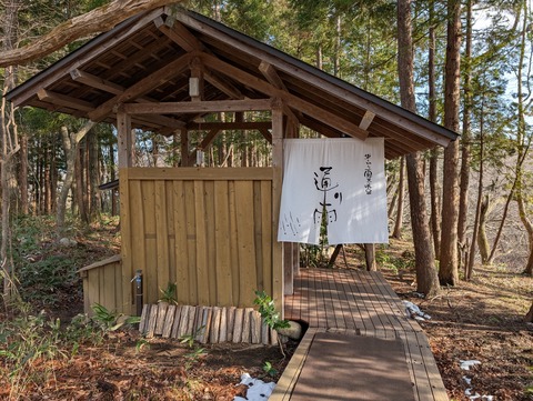 だいこんの花_65