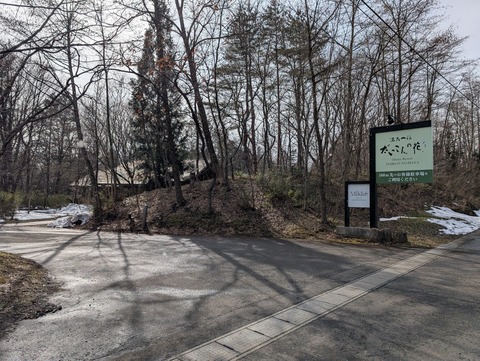 だいこんの花_5