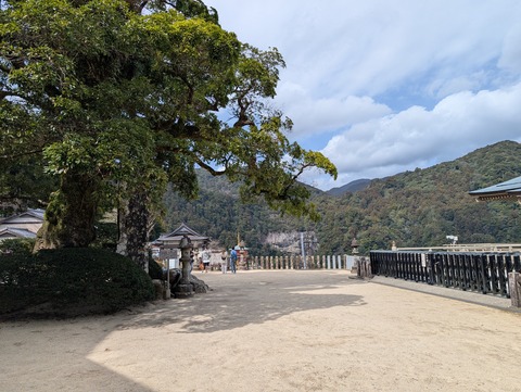 中の島_24