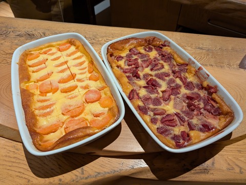 だいこんの花_154