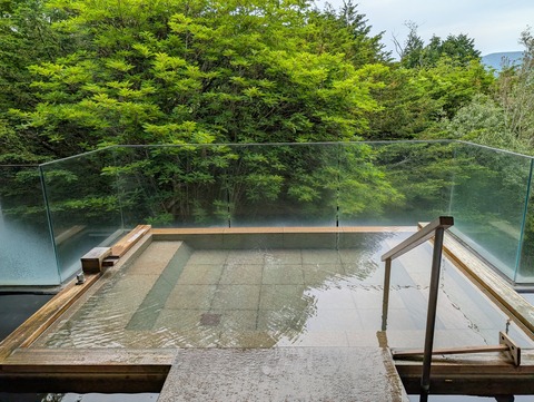 ひらまつ仙石原_66