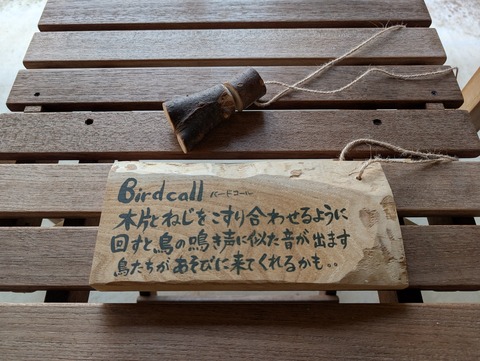 だいこんの花_14