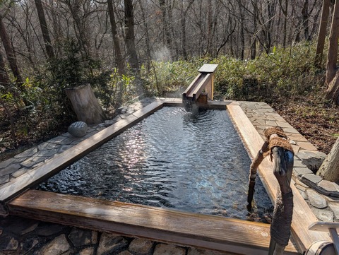 だいこんの花_50