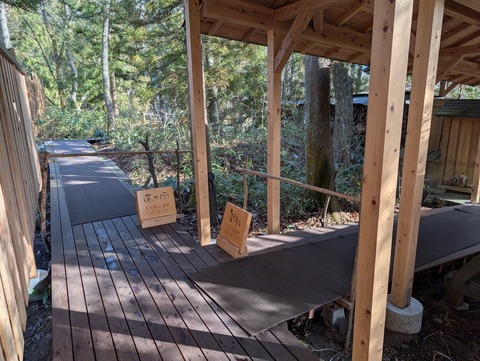 だいこんの花_58