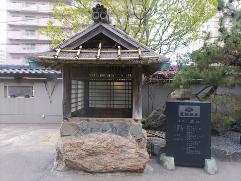 若松_73