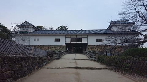 やす井_0450