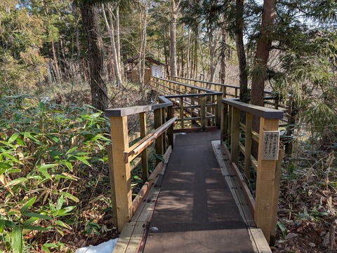 だいこんの花_64